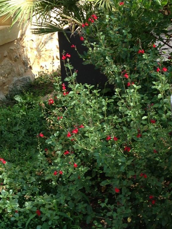 Les Camelias Bed & Breakfast Lalinde Bagian luar foto
